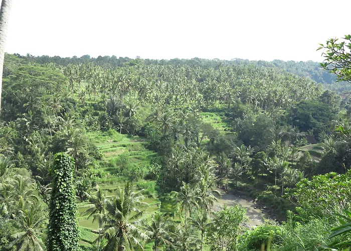 Taman Bebek Bali 4* Ubud (Bali)
