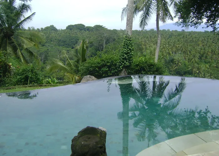 Taman Bebek Bali Resort 4*