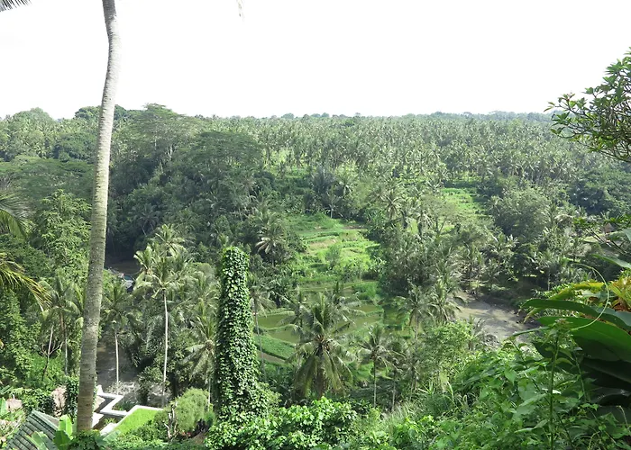 Taman Bebek Bali Ubud (Bali)