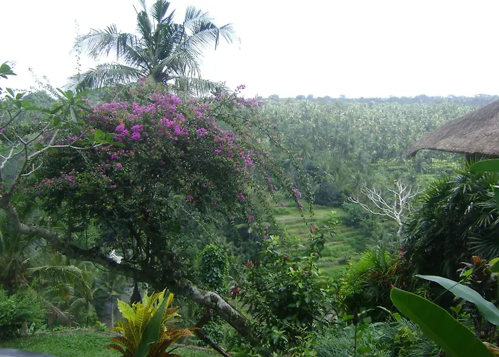 Resort Taman Bebek Bali Ubud (Bali)