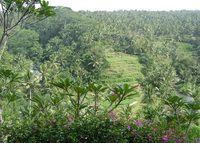 Taman Bebek Bali Resort 4*